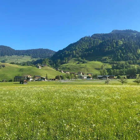 Appartement Haus Diedams *