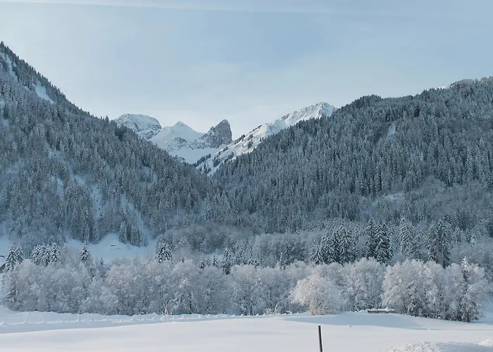 アパート Haus Diedams *